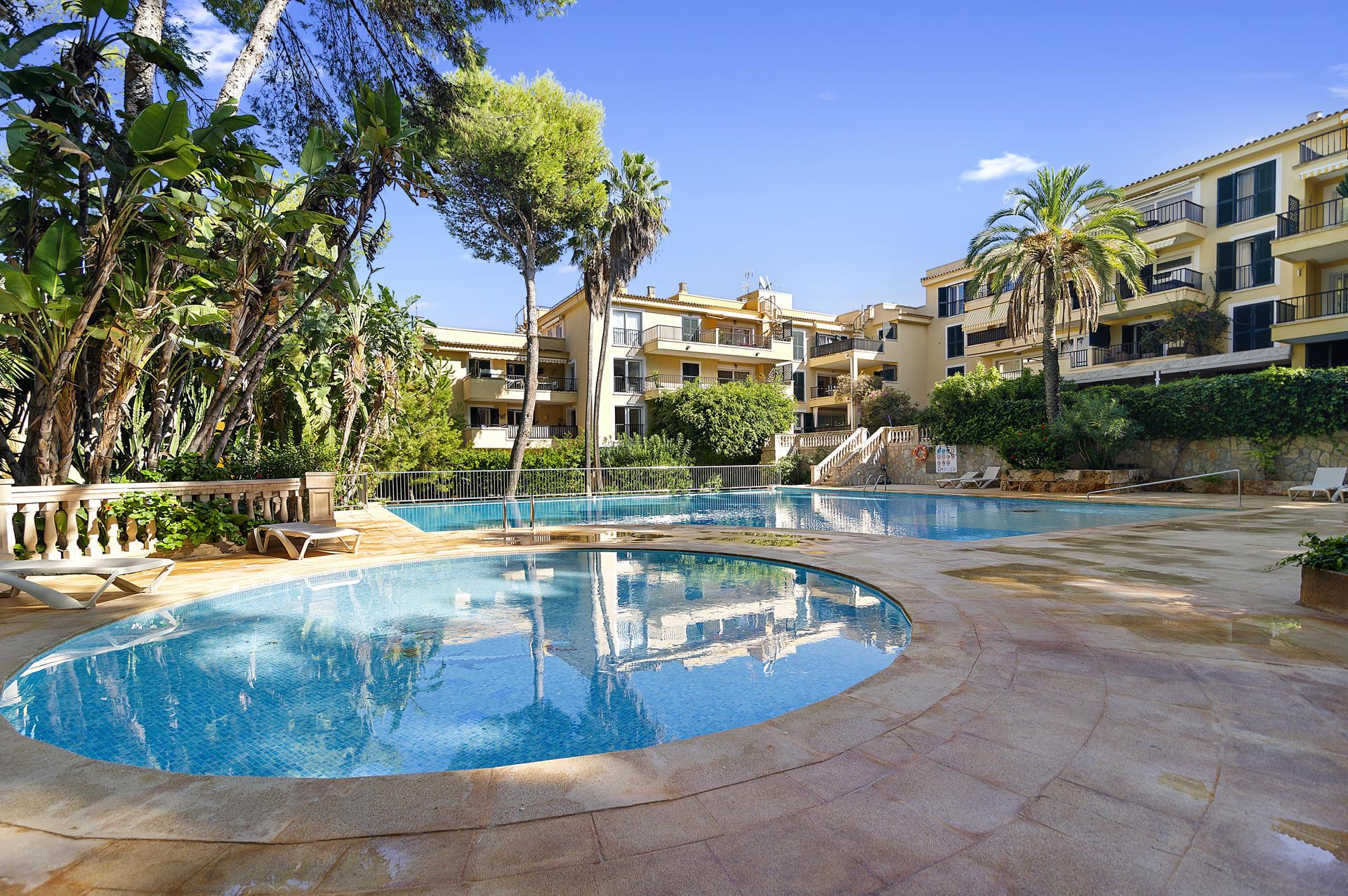 Mallorca - Nova Santa Ponsa - Apartment / Wohnung